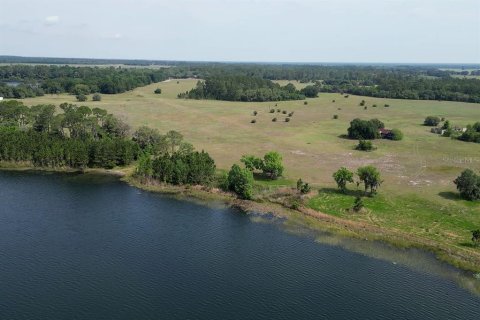 Land in Umatilla, Florida № 1808872 - photo 5