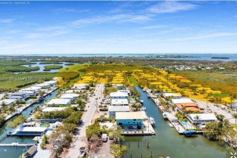 House in Key Largo, Florida 3 bedrooms, 327.02 sq.m. № 1655495 - photo 6