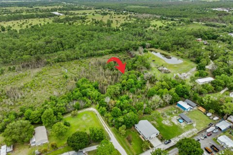 Immobilier commercial à vendre à Palm City, Floride № 2086311 - photo 5