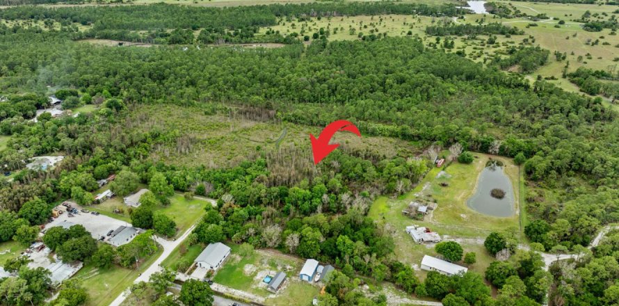 Immobilier commercial à Palm City, Floride № 2086311