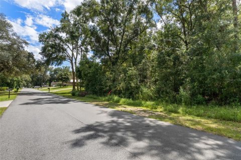 Land in Citrus Springs, Florida № 2371683 - photo 22