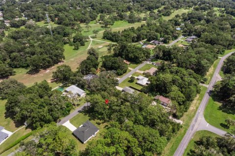 Land in Citrus Springs, Florida № 2371683 - photo 14