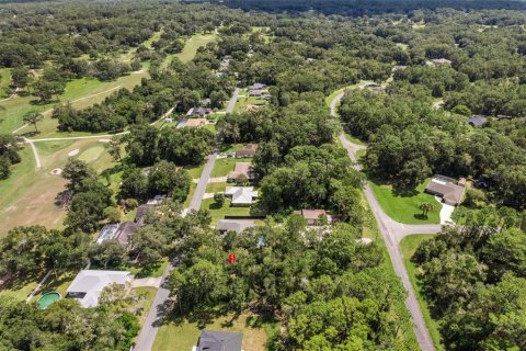 Land in Citrus Springs, Florida № 2371683 - photo 16