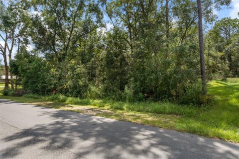 Land in Citrus Springs, Florida № 2371683 - photo 21