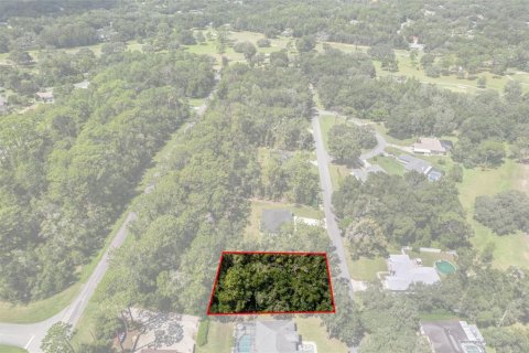 Land in Citrus Springs, Florida № 2371683 - photo 6