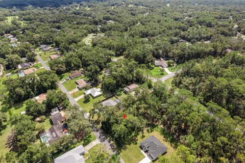 Land in Citrus Springs, Florida № 2371683 - photo 20