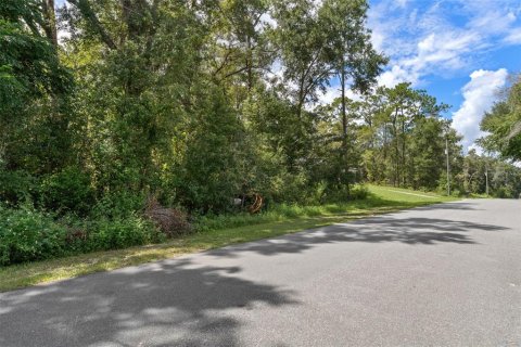 Land in Citrus Springs, Florida № 2371683 - photo 24