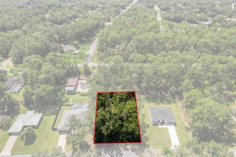 Land in Citrus Springs, Florida № 2371683 - photo 2