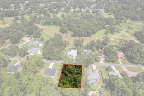 Land in Citrus Springs, Florida № 2371683 - photo 10