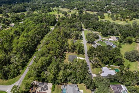 Land in Citrus Springs, Florida № 2371683 - photo 5