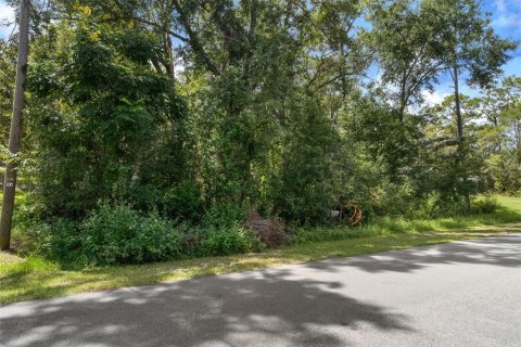Land in Citrus Springs, Florida № 2371683 - photo 23