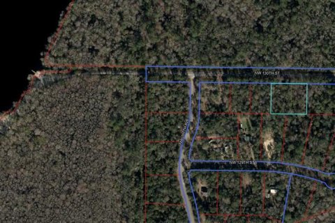 Land in Chiefland, Florida № 2212589