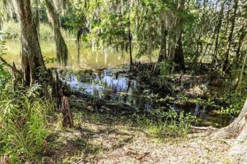 Villa ou maison à vendre à Lake Panasoffkee, Floride: 2 chambres, 100.89 m2 № 2237980 - photo 10