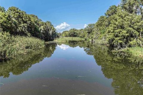 Villa ou maison à vendre à Lake Panasoffkee, Floride: 2 chambres, 100.89 m2 № 2237980 - photo 6