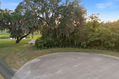 Land in Zephyrhills, Florida № 1530991 - photo 3