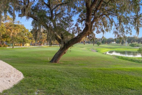 Land in Zephyrhills, Florida № 1530991 - photo 1