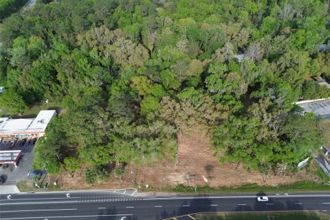 Terreno en venta en Gainesville, Florida № 2324215 - foto 7