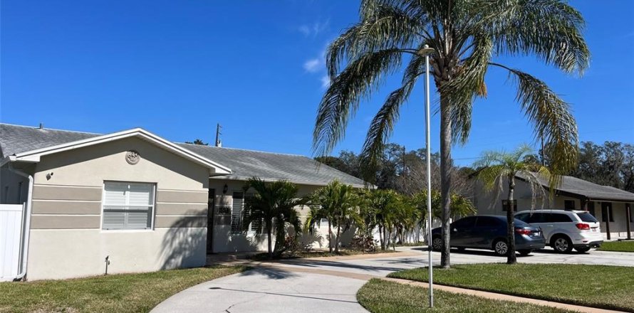 House in New Port Richey, Florida 3 bedrooms, 180.32 sq.m. № 1907075
