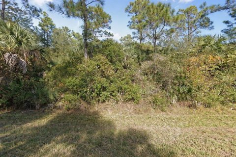 Land in Punta Gorda, Florida № 2159218 - photo 3