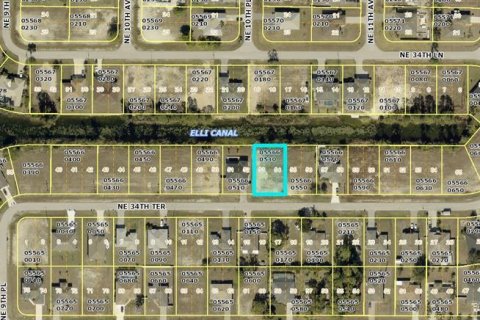 Land in Cape Coral, Florida № 2383490 - photo 3