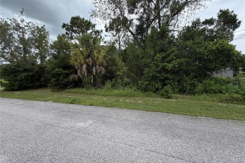 Land in Spring Hill, Florida № 2370990 - photo 4