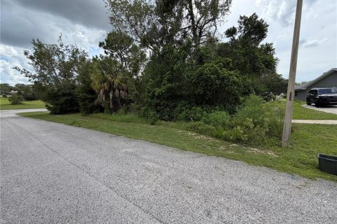 Land in Spring Hill, Florida № 2370990 - photo 5