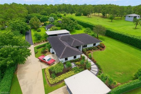 Villa ou maison à louer à Naples, Floride: 4 chambres № 1929700 - photo 2