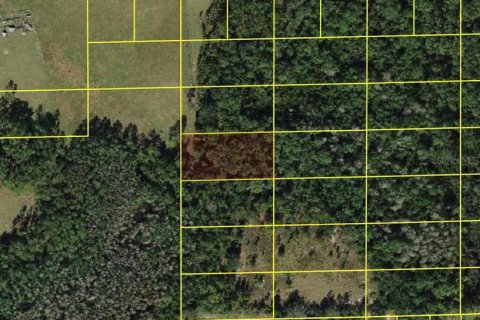 Terreno en venta en Polk City, Florida № 2160813 - foto 2