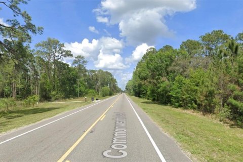 Terreno en venta en Polk City, Florida № 2160813 - foto 5