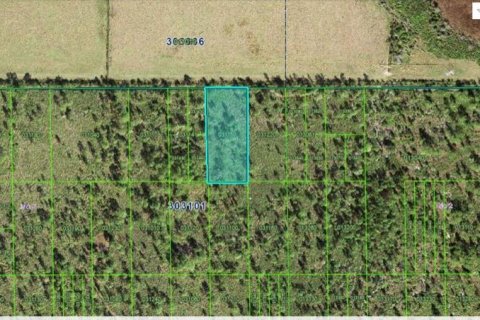 Land in Lake Wales, Florida № 2158875
