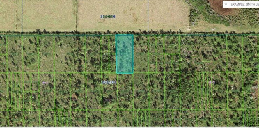 Land in Lake Wales, Florida № 2158875