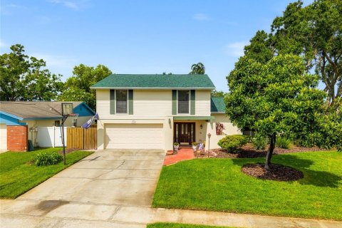 House in Tampa, Florida 4 bedrooms, 210.05 sq.m. № 1831697 - photo 1