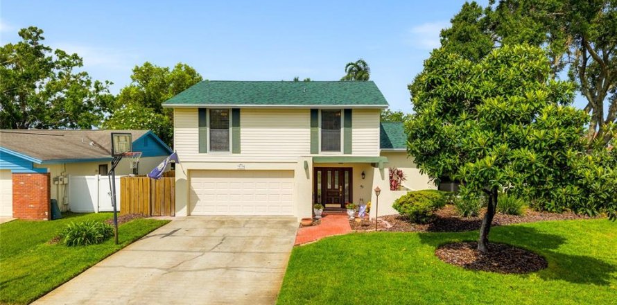 House in Tampa, Florida 4 bedrooms, 210.05 sq.m. № 1831697
