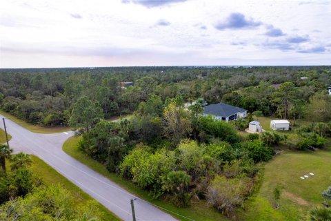 Land in Port Charlotte, Florida № 1516853 - photo 3