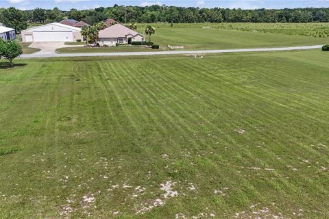 Terrain à vendre à Ocala, Floride № 2155678 - photo 8