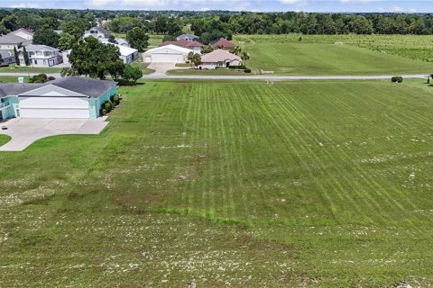 Terrain à vendre à Ocala, Floride № 2155678 - photo 6