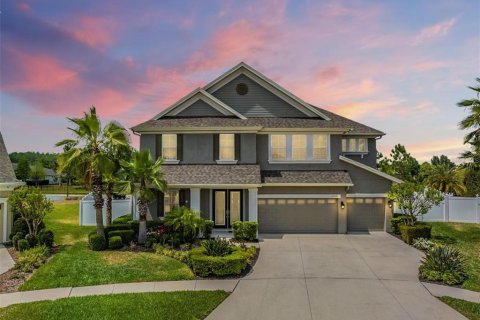 House in Land O' Lakes, Florida 7 bedrooms, 450.2 sq.m. № 1876393 - photo 1