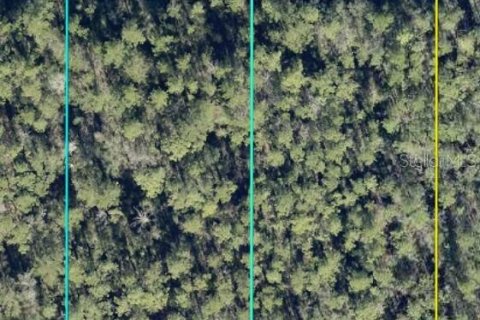 Land in Hastings, Florida № 2360414
