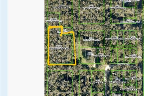 Terreno en venta en Brooksville, Florida № 1918989 - foto 2