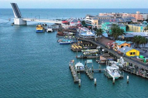 Land in Madeira Beach, Florida № 1561354 - photo 4