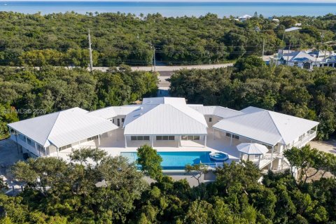 Villa ou maison à vendre à Islamorada, Village of Islands, Floride: 7 chambres № 2080966 - photo 2