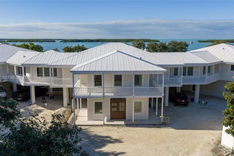 Villa ou maison à vendre à Islamorada, Village of Islands, Floride: 7 chambres № 2080966 - photo 4