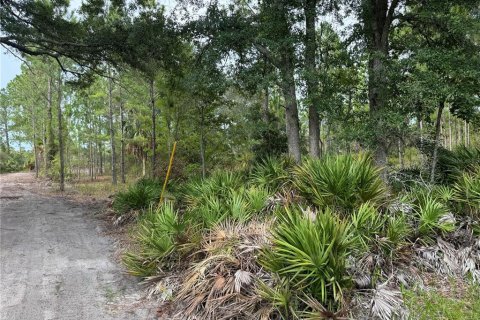 Land in Cedar Key, Florida № 2224055 - photo 7