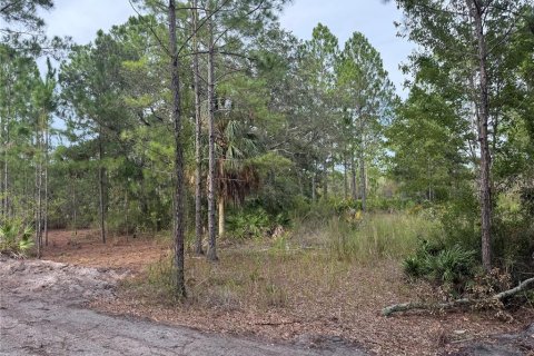 Land in Cedar Key, Florida № 2224055 - photo 2