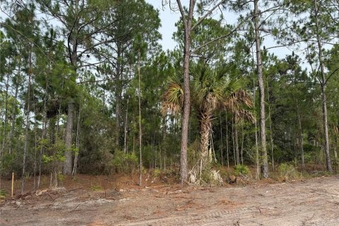 Land in Cedar Key, Florida № 2224055 - photo 5