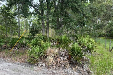 Land in Cedar Key, Florida № 2224055