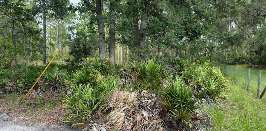 Land in Cedar Key, Florida № 2224055