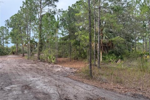 Land in Cedar Key, Florida № 2224055 - photo 4