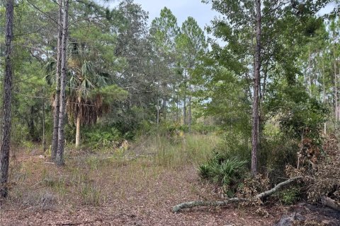 Land in Cedar Key, Florida № 2224055 - photo 6