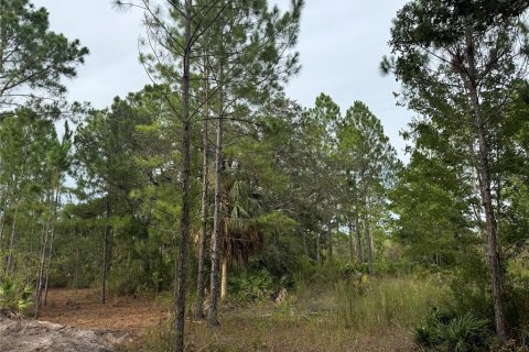 Land in Cedar Key, Florida № 2224055 - photo 3